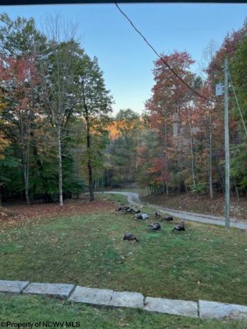 953 Tygart Junction Road Philippi WV 26416