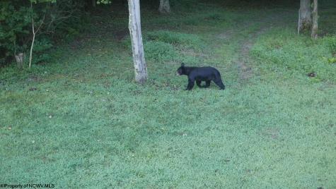 953 Tygart Junction Road Philippi WV 26416