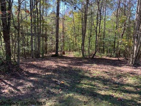 953 Tygart Junction Road Philippi WV 26416