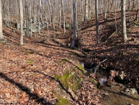 953 Tygart Junction Road Philippi WV 26416