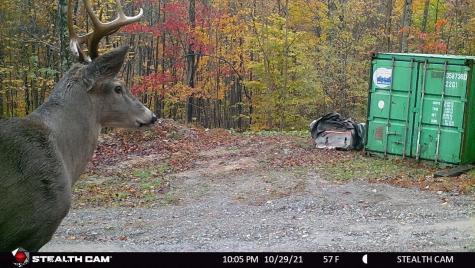 953 Tygart Junction Road Philippi WV 26416