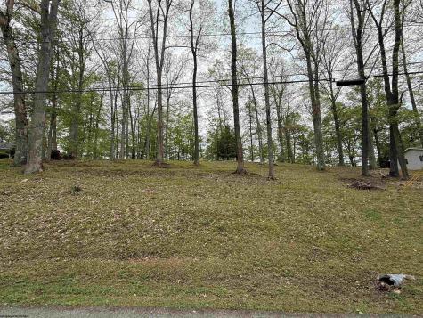 534 Teaberry Hills Lane Elkins WV 26241