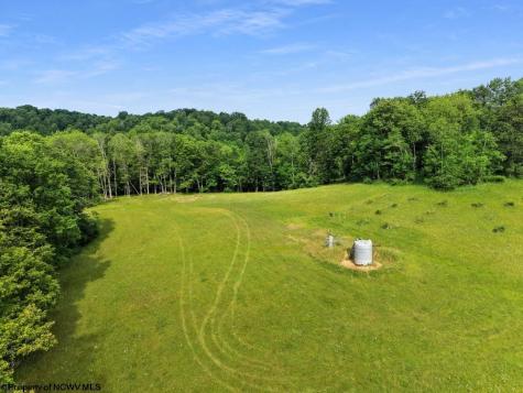 4038 Abbott Road French Creek WV 26218