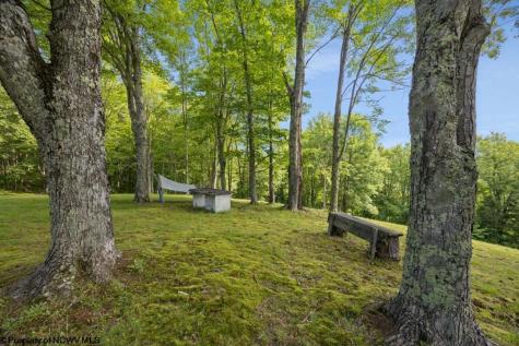 4038 Abbott Road French Creek WV 26218