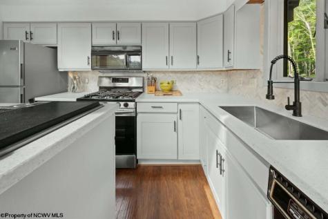 4038 Abbott Road French Creek WV 26218