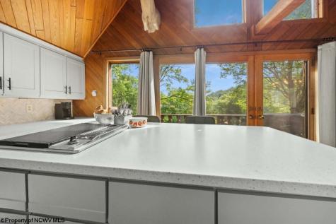 4038 Abbott Road French Creek WV 26218