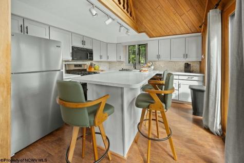 4038 Abbott Road French Creek WV 26218