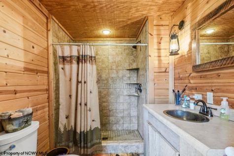 7339 Mcelroy Creek Road West Union WV 26456