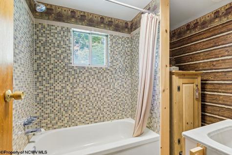 7339 Mcelroy Creek Road West Union WV 26456