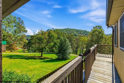 7339 Mcelroy Creek Road West Union WV 26456