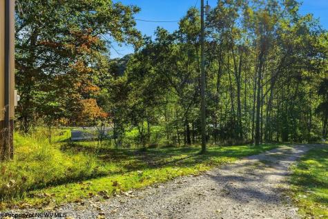 7339 Mcelroy Creek Road West Union WV 26456