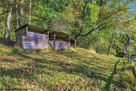7339 Mcelroy Creek Road West Union WV 26456