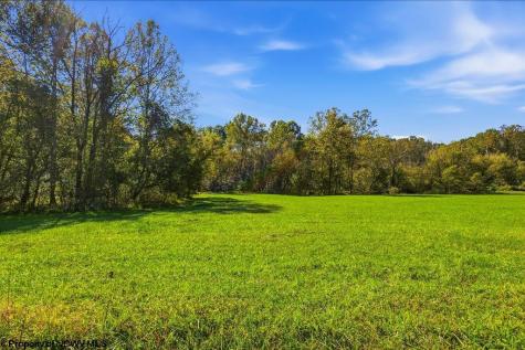 7339 Mcelroy Creek Road West Union WV 26456