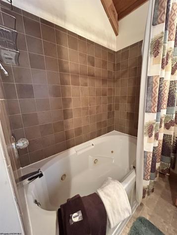 64 Hibernation Way Davis WV 26260