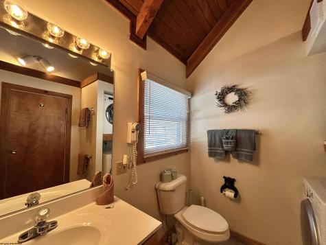 64 Hibernation Way Davis WV 26260