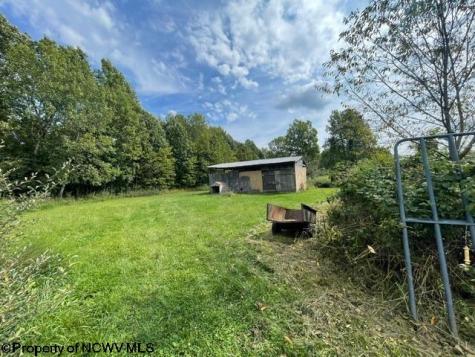 687 Concord Road Newburg WV 26410-9298