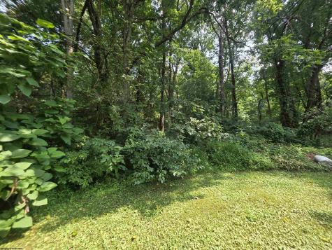 79 Y Road Arthurdale WV 26520