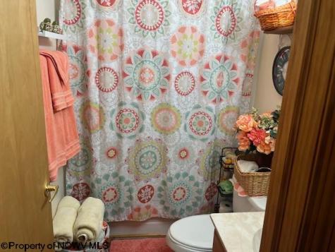 250 Deerfield Circle Kingwood WV 26537