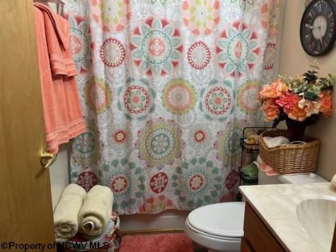 250 Deerfield Circle Kingwood WV 26537