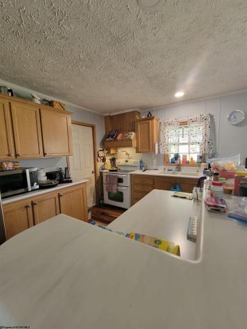 99 Arrowhead Drive Belington WV 26250