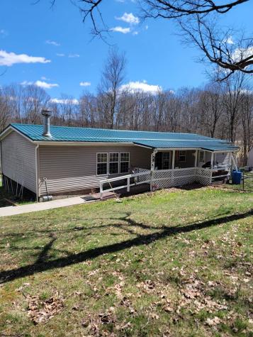 99 Arrowhead Drive Belington WV 26250