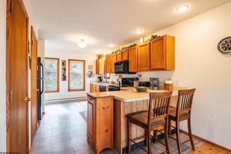 699 Ridge Road Davis WV 26260