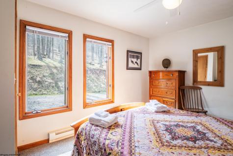 699 Ridge Road Davis WV 26260