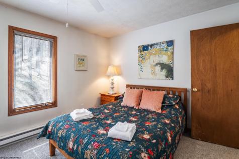 699 Ridge Road Davis WV 26260