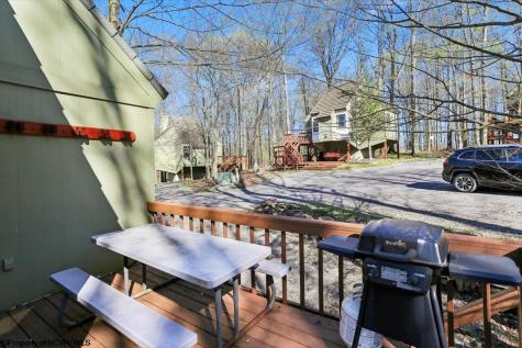 72 Whitetail Way Davis WV 26260
