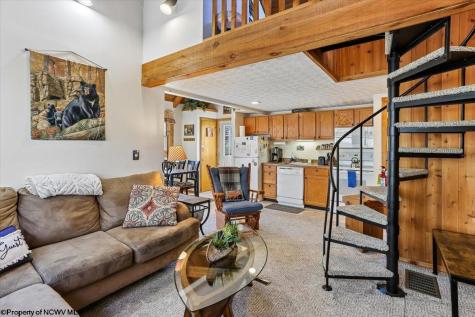 72 Whitetail Way Davis WV 26260