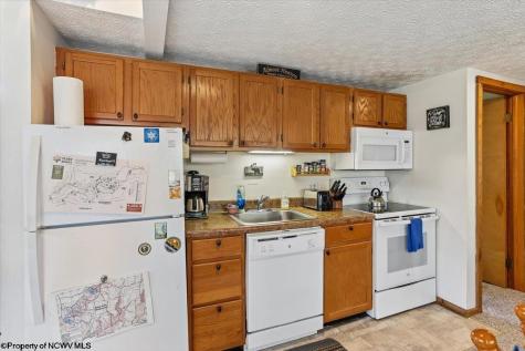 72 Whitetail Way Davis WV 26260