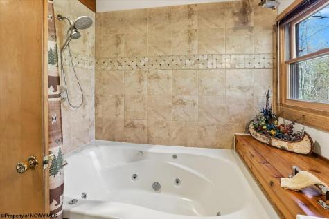72 Whitetail Way Davis WV 26260