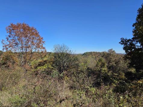 1066 Statler Run Road Fairview WV 26570