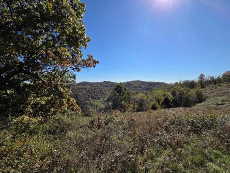 1066 Statler Run Road Fairview WV 26570