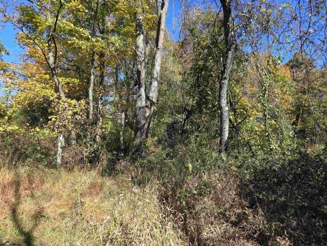1066 Statler Run Road Fairview WV 26570