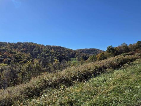 1066 Statler Run Road Fairview WV 26570