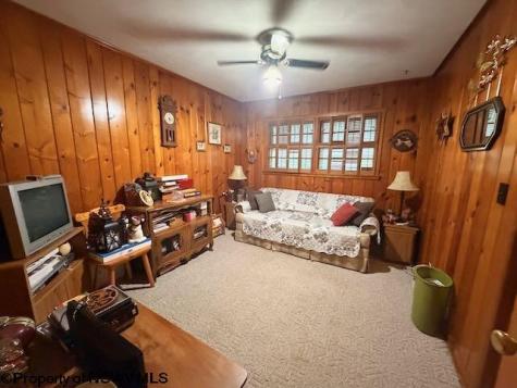 106 Lough Lane Elkins WV 26241