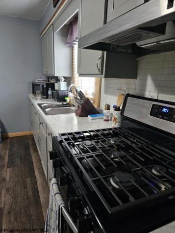 61 Leo Menendez Drive Spelter WV 26438