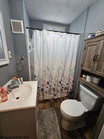 61 Leo Menendez Drive Spelter WV 26438