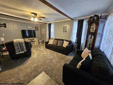 61 Leo Menendez Drive Spelter WV 26438