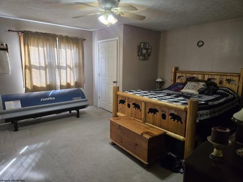4790 Widen Dille Road Birch River WV 26610-8322