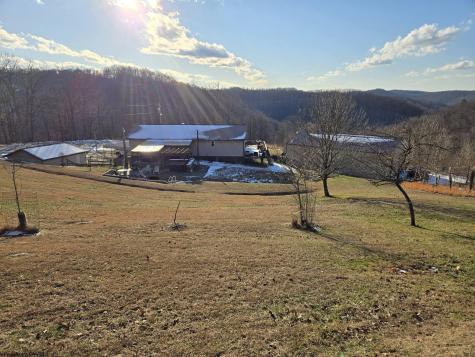 4790 Widen Dille Road Birch River WV 26610-8322