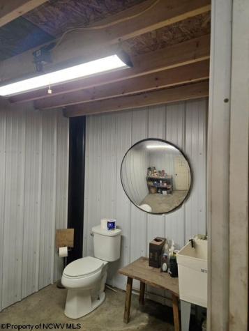 4790 Widen Dille Road Birch River WV 26610-8322