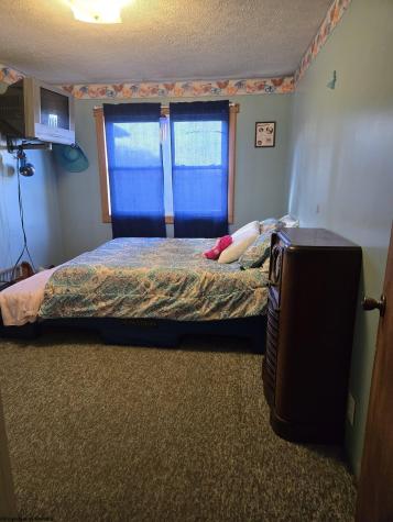 4790 Widen Dille Road Birch River WV 26610-8322