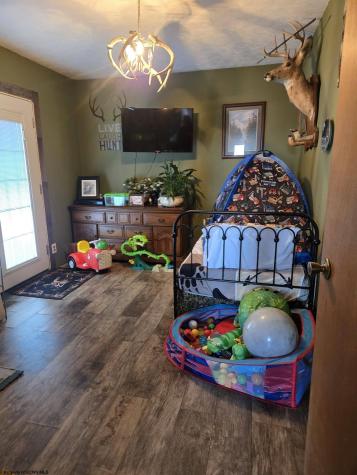 4790 Widen Dille Road Birch River WV 26610-8322