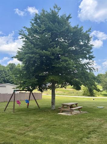 353 Cedar Meadows Circle Reedsville WV 26547