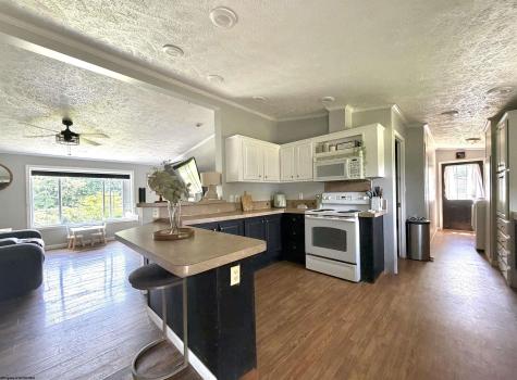 353 Cedar Meadows Circle Reedsville WV 26547