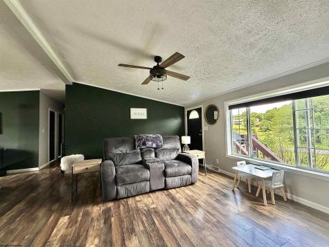 353 Cedar Meadows Circle Reedsville WV 26547