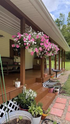 2507 Kings Run Road Beverly WV 26253