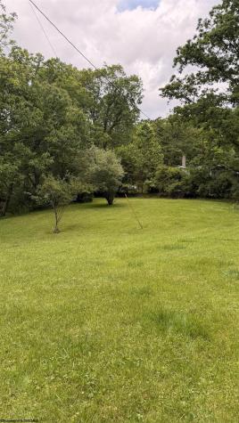 2507 Kings Run Road Beverly WV 26253